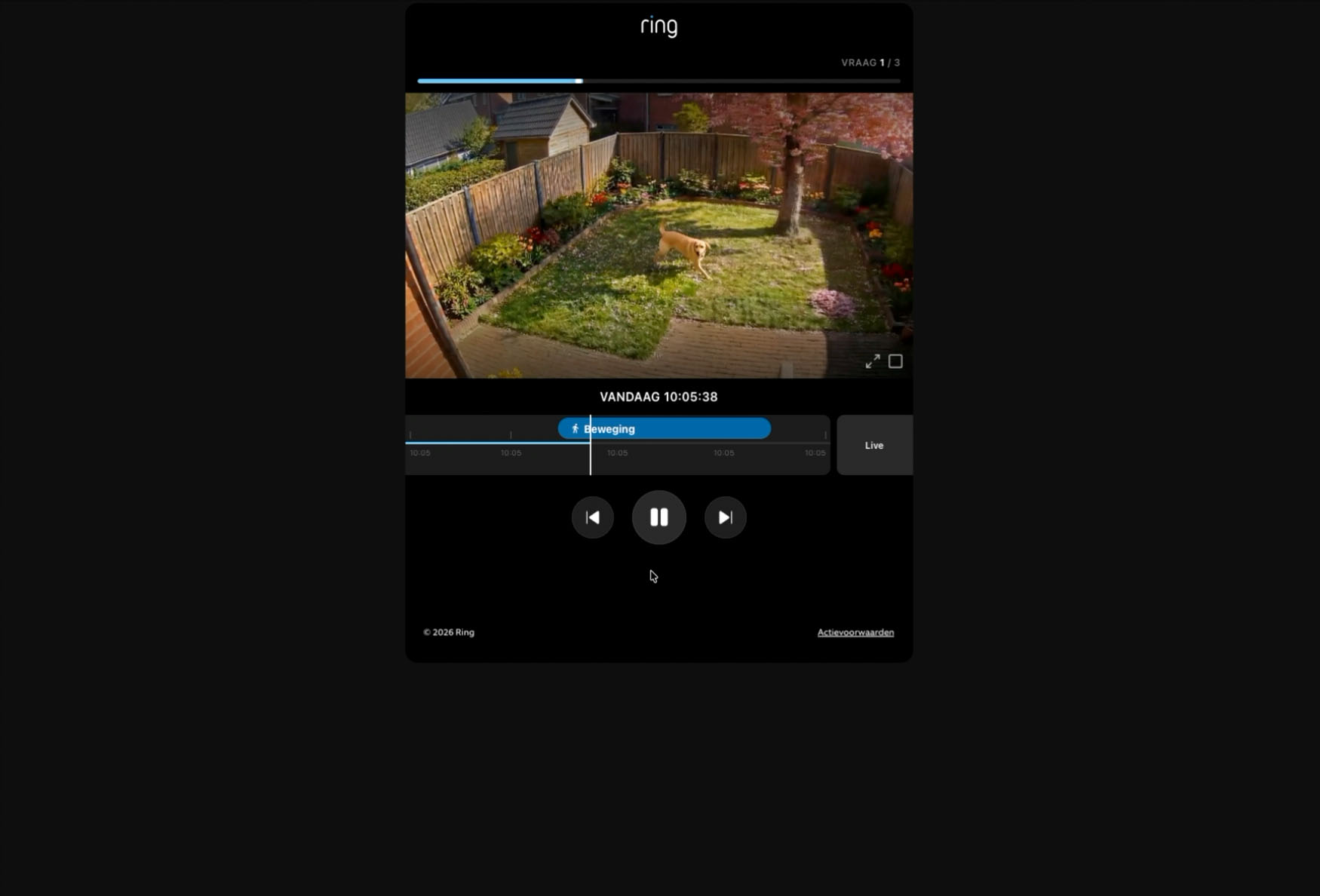 Screen 1
